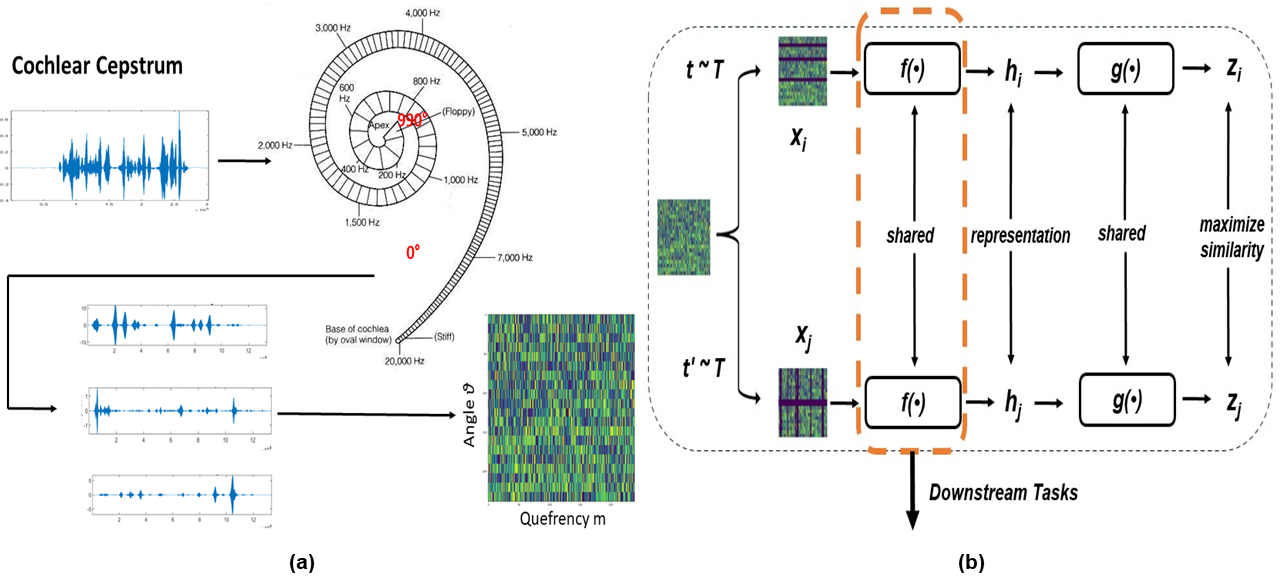 CochCeps-Augment method diagram